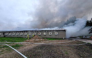 Pożar dwóch kurników koło Olsztyna